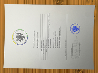 Bergische Universität Wuppertal diploma