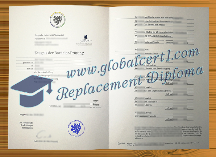 Bergische Universität Wuppertal transcript