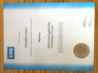 College of the North Atlantic degree