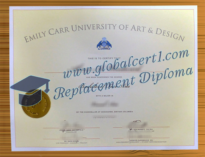 Emily Carr University of Art + Design degree