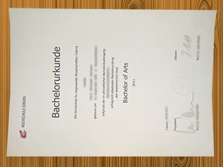 Hochschule Coburg diploma