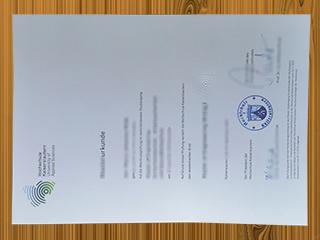 Hochschule Kaiserslautern diploma