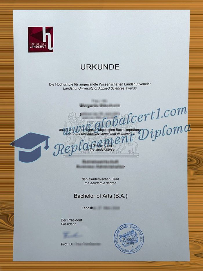 Hochschule Landshut degree
