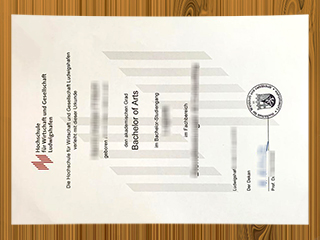 Hochschule Ludwigshafen für Wirtschaft und Gesellschaft diploma