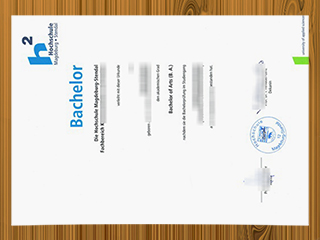 Hochschule Magdeburg-Stendal diploma