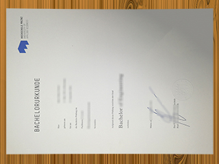 Hochschule Mainz diploma