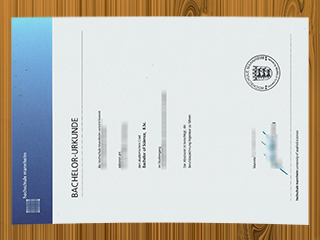 Hochschule Mannheim diploma