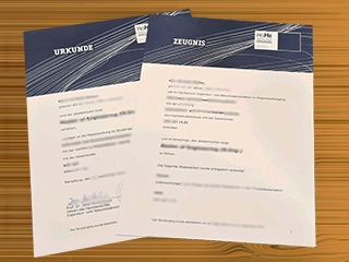 Hochschule Merseburg diploma