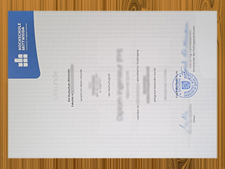 Hochschule Mittweida diploma