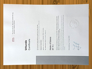 Hochschule Neubrandenburg diploma