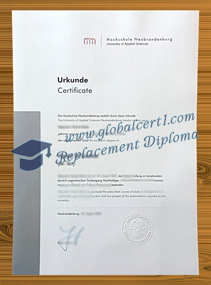 Hochschule Neubrandenburg urkunde