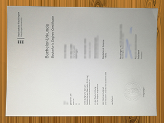 Hochschule Reutlingen diploma
