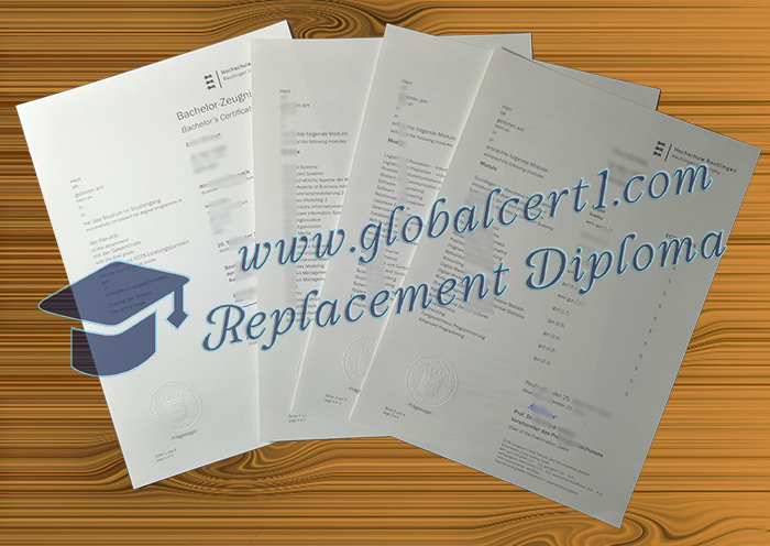 Hochschule Reutlingen transcript