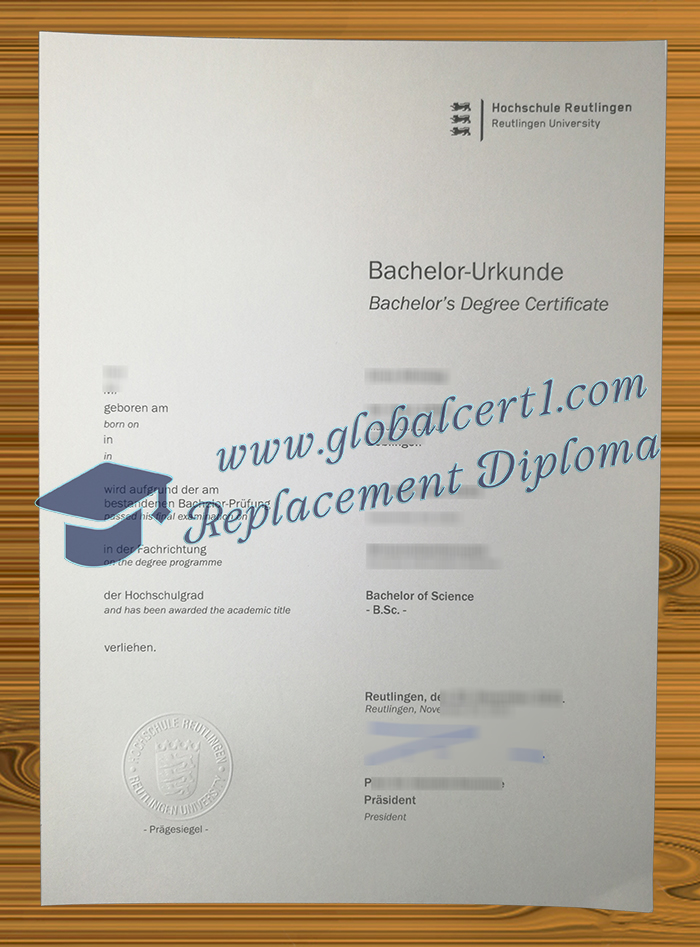 Hochschule Reutlingen urkunde