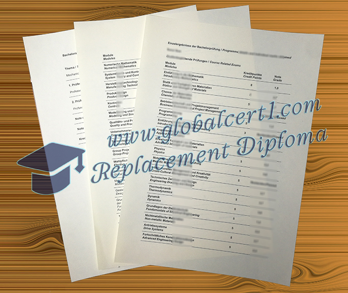 Hochschule Rhein-Waal transcript