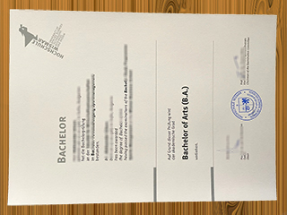 Hochschule Wismar diploma