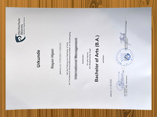 Hochschule Worms diploma