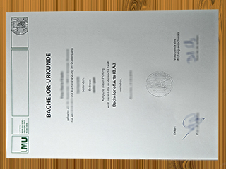 LMU München diploma