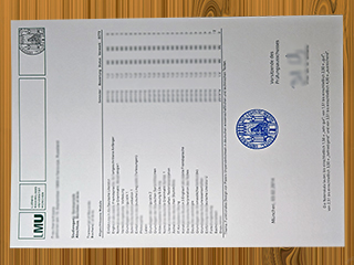 LMU München zeugnis