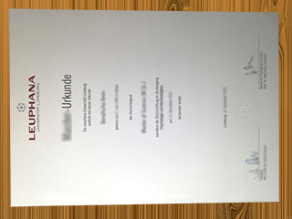 Leuphana Universität Lüneburg diploma