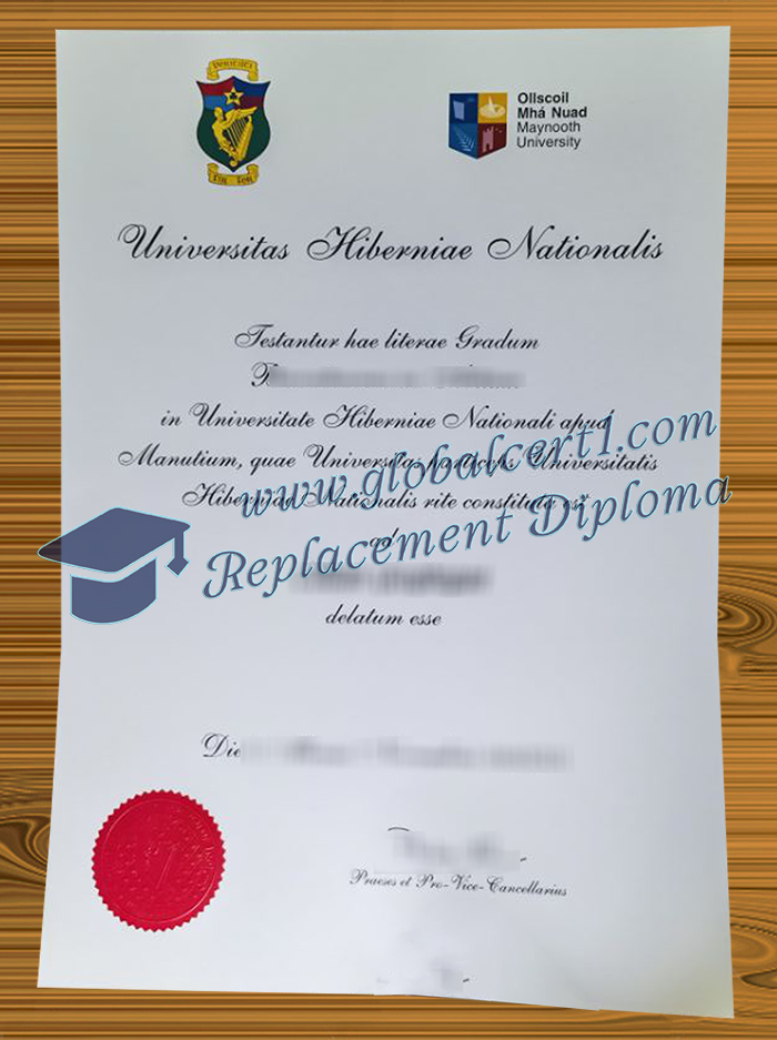 Maynooth University degree