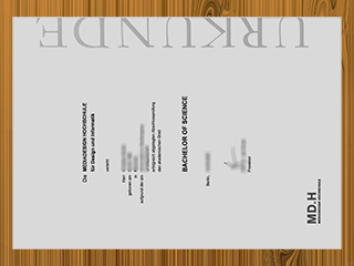 Mediadesign Hochschule diploma