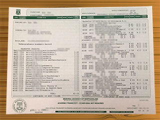 Memorial University of Newfoundland transcript