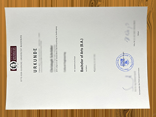 Otto-von-Guericke-Universität Magdeburg diploma