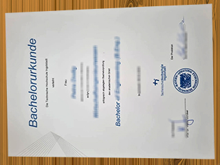 Technische Hochschule Ingolstadt diploma