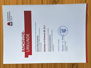 Technische Hochschule Lübeck diploma