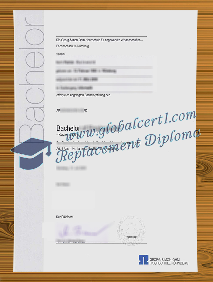 Technische Hochschule Nürnberg degree