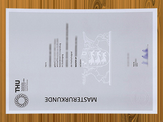 Technische Hochschule Ulm diploma