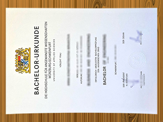 Technische Hochschule Würzburg-Schweinfurt diploma