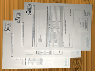 TU Dublin transcript