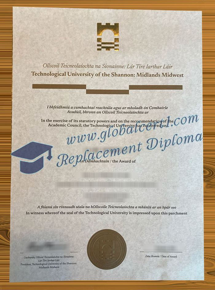 Technological University of the Shannon degree