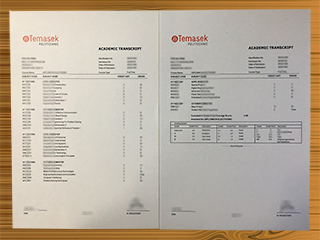 Temasek Polytechnic transcript
