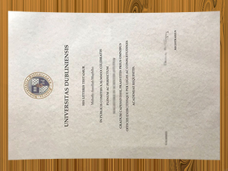 Trinity College Dublin diploma