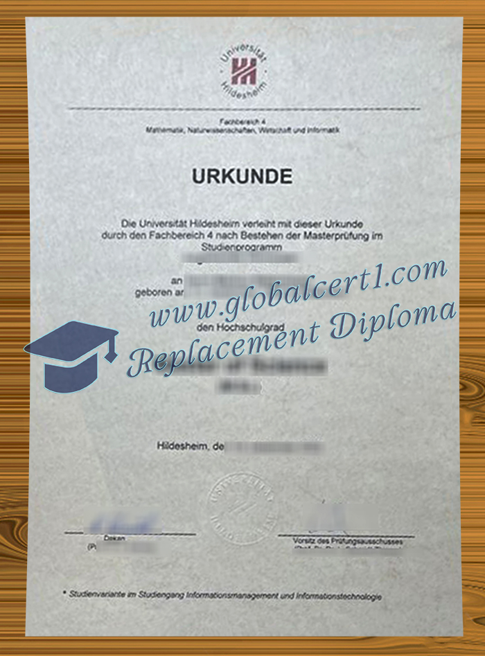 Universität Hildesheim degree