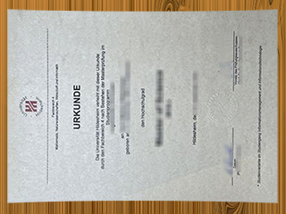 Universität Hildesheim diploma