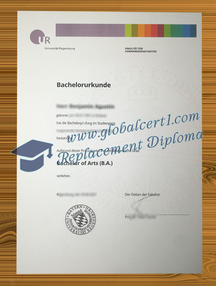 Universität Regensburg degree