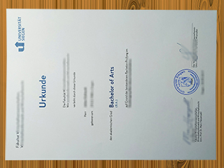 Universität Siegen diploma