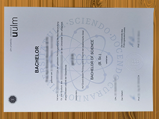Universität Ulm diploma