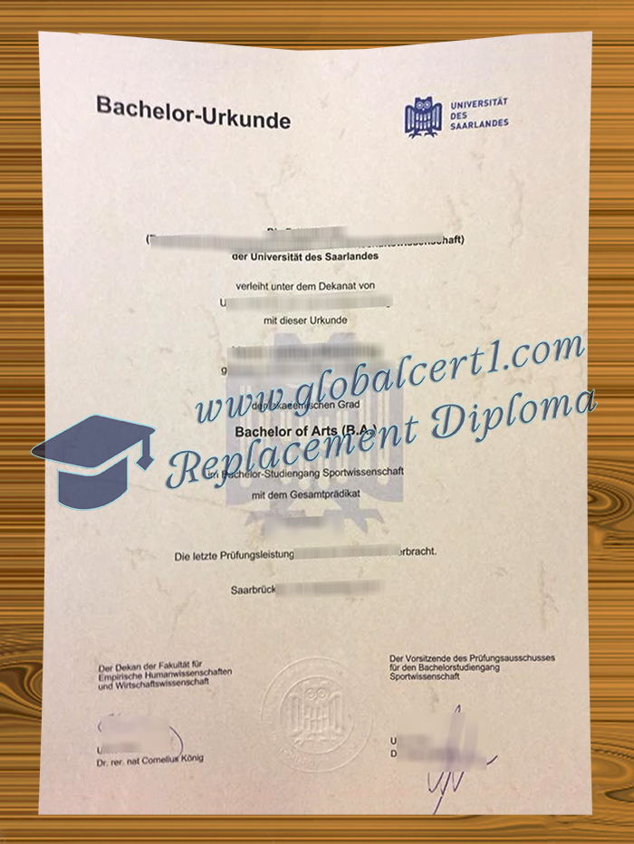 Universität des Saarlandes degree