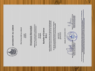 Universität zu Lübeck diploma