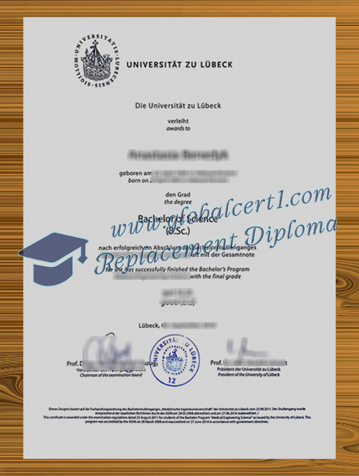 Universität zu Lübeck urkunde