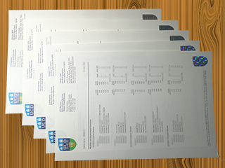 University College Dublin transcript