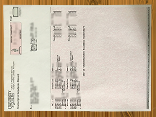University of Guelph transcript