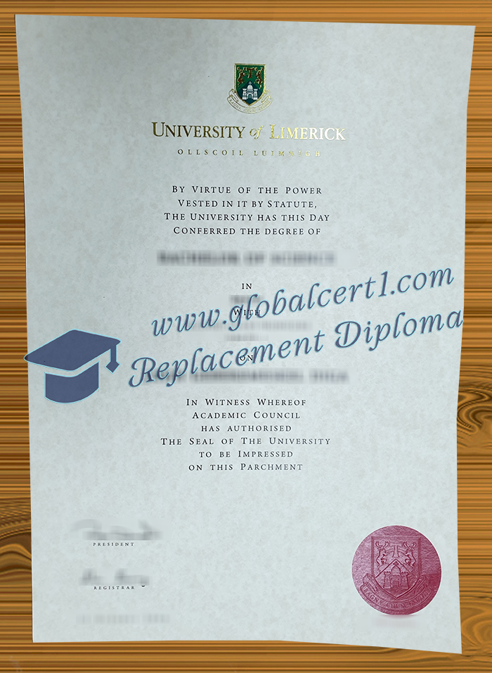 University of Limerick degree