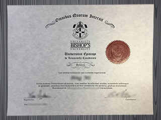 Bishop's University degree