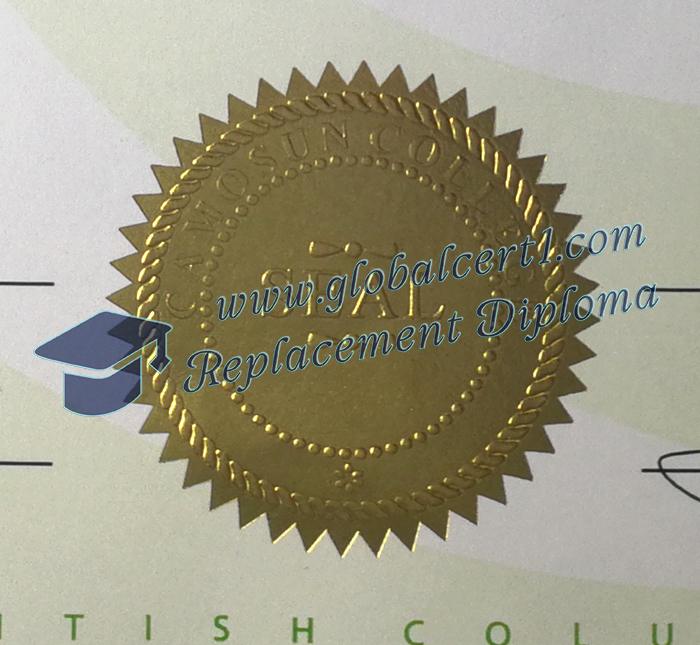 Camosun College seal